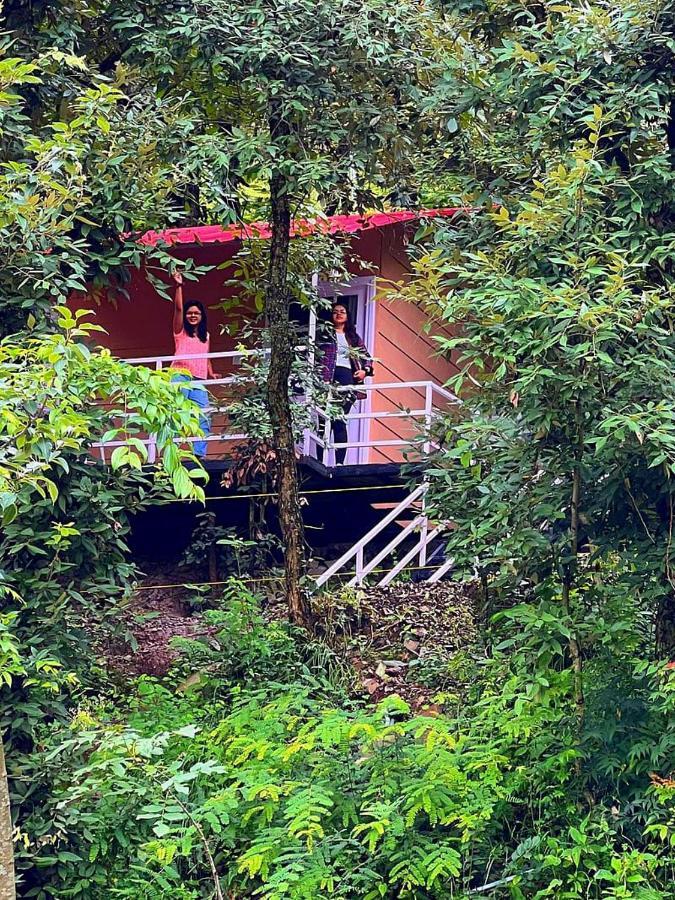 Aamod At Shoghi Luxury Cottage Resort Shimla Exterior foto