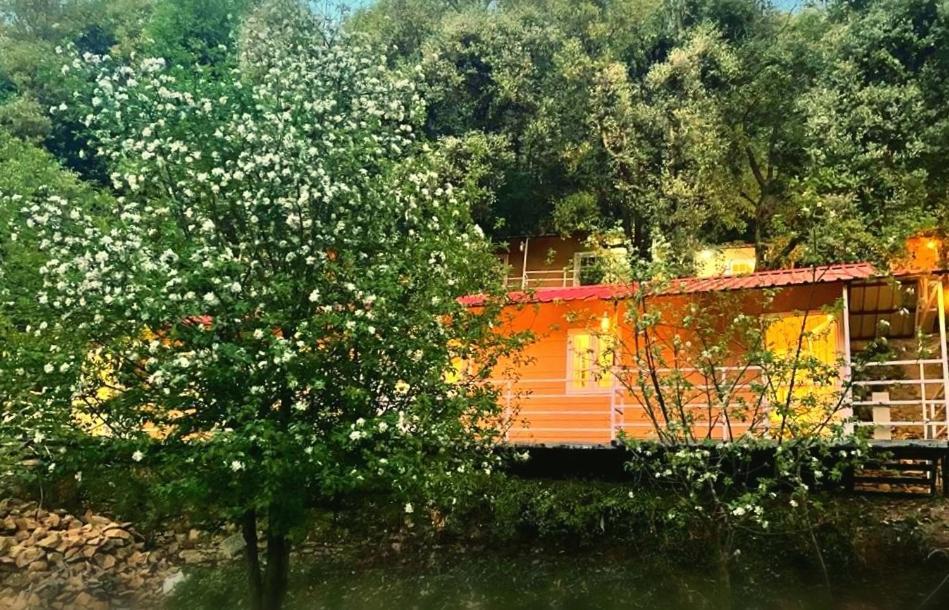 Aamod At Shoghi Luxury Cottage Resort Shimla Exterior foto